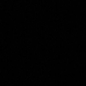 Meet your Posher, Bailey